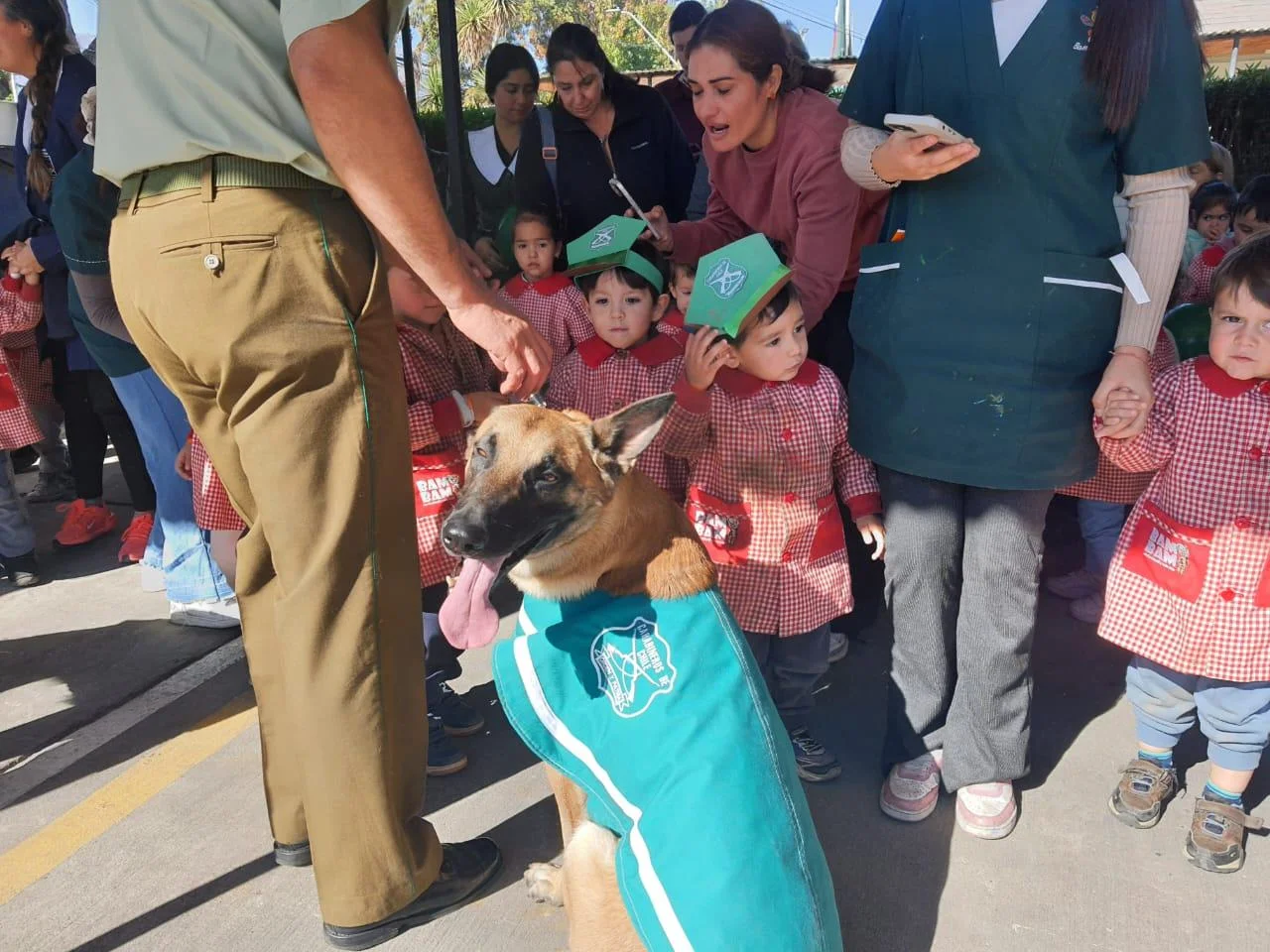 Jardín infantil Bam Bam