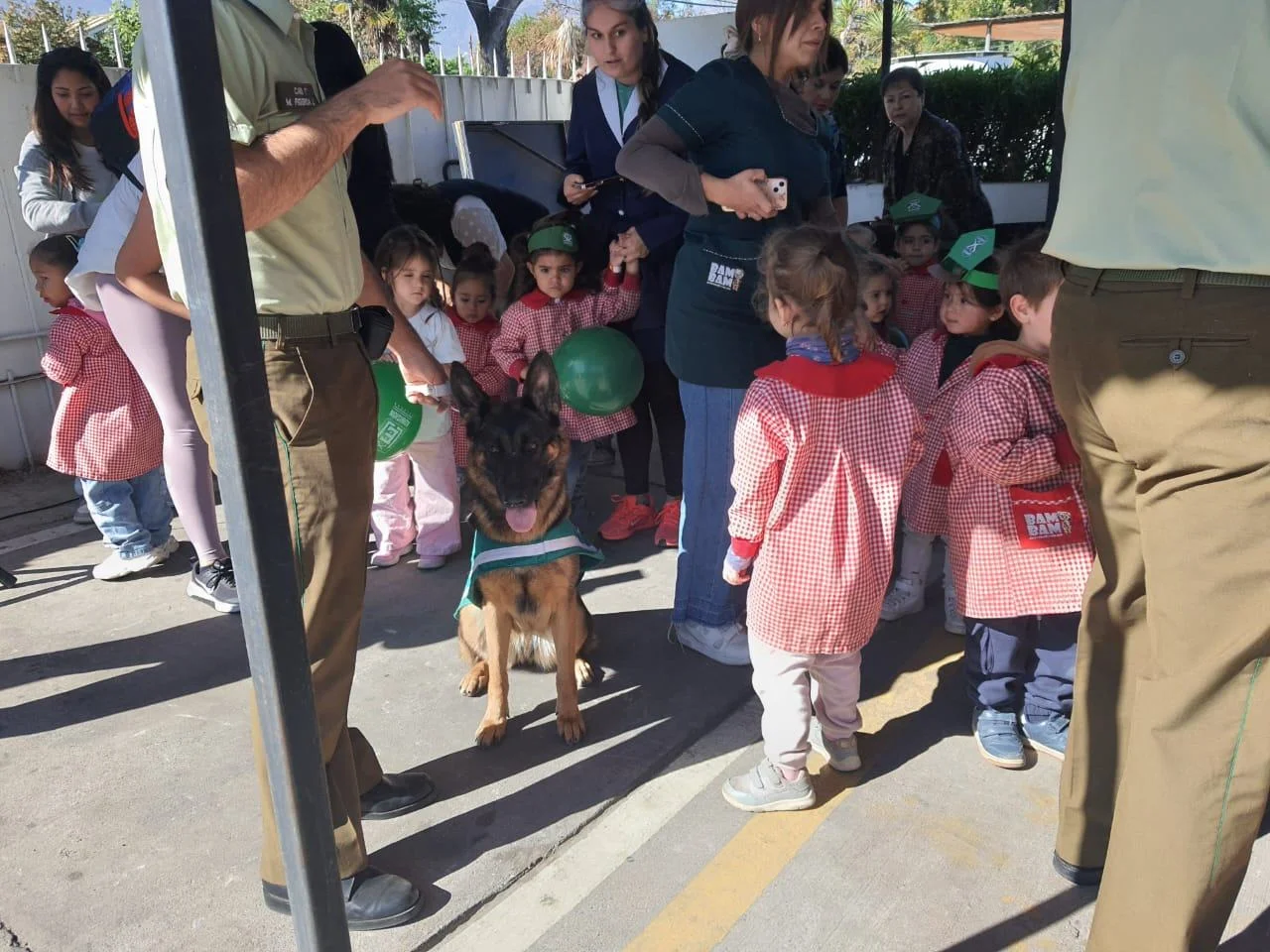 Jardín infantil Bam Bam