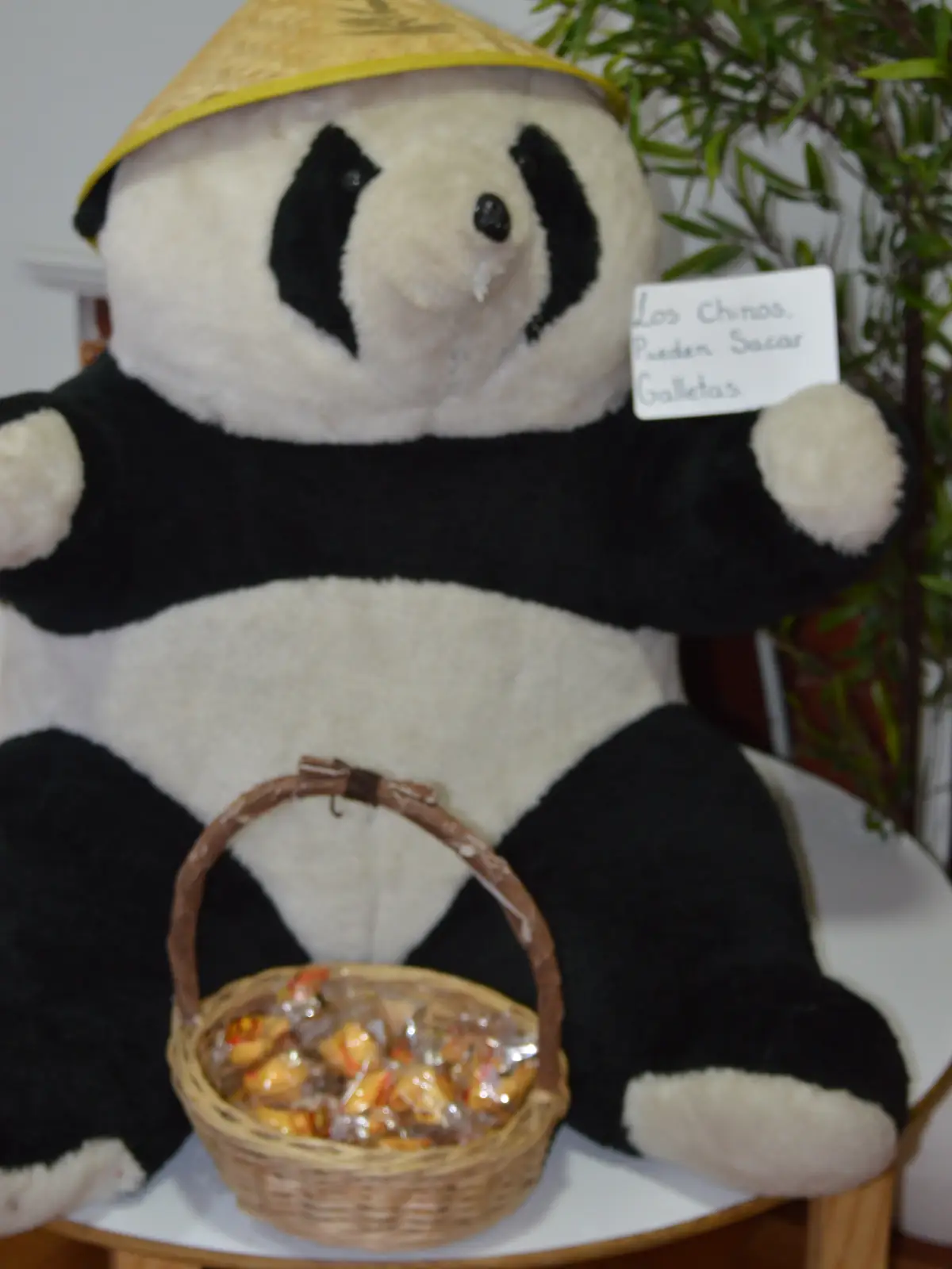 Jardín infantil Bam Bam